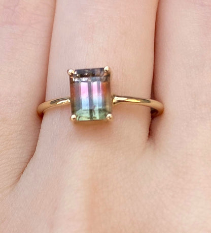 Gem Candy Zambian Watermelon Tourmaline Green Pink Ring - Nina Segal Jewelry
