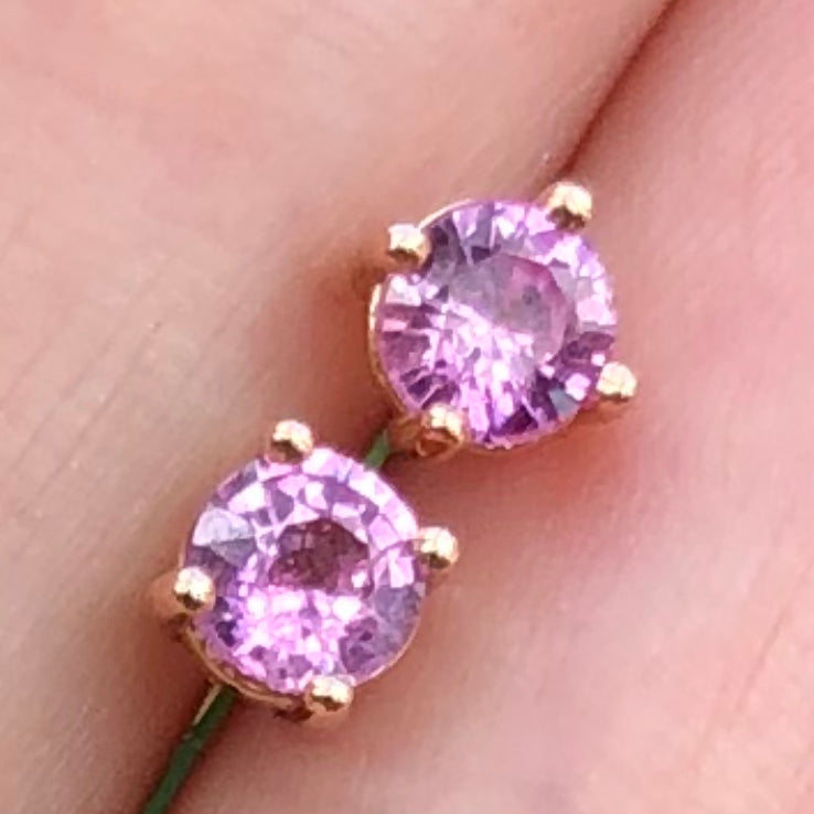Gem Candy Pink Sapphire Medium Studs - Nina Segal Jewelry